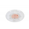 Saucer Round Clear- 10" - Image 1