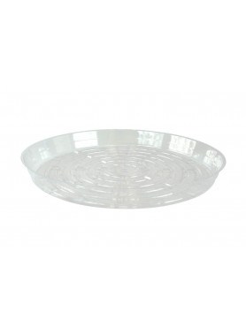 Clear Saucer 12"