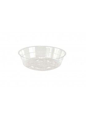 Clear Saucer 4"
