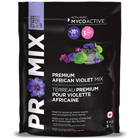 Pro Mix African Violet 5L
