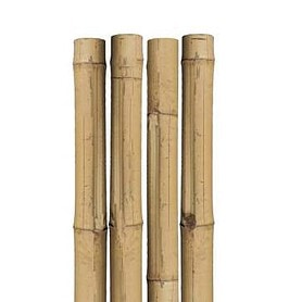 Natural Bamboo Stake 3'