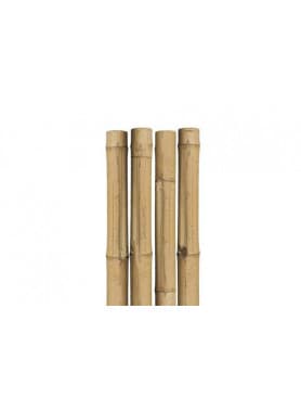Natural Bamboo Stake 5'