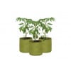 Vigoroot Pots 20 Litre 12 x12 x12 - Image 1