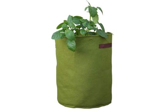 VIGOROOT TOMATO/POTATO PATIO PLANTER - Blomidon Nurseries