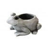 Frog Planter 7" (14" x 7") - Image 1