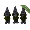 Gnome Assorted - Image 1