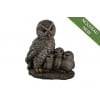 Owl - Image 1