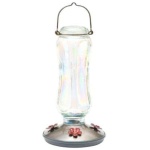Starglow Vintage Feeder - Image 1