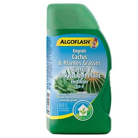 ALGOFLASH CACTUS 5-4-6