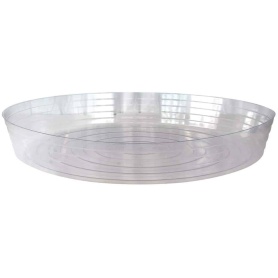 Clear Saucer 25"