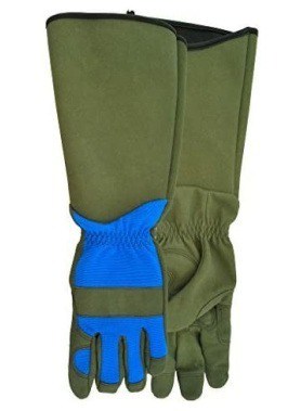 Watson Gloves- Game of Thorns