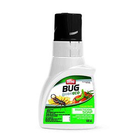 Ortho Bug B Gon Eco Concentrate