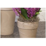 Pierson Planter 10.25"x12.5" B - Image 1