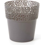 Pot Rosa 8" Anthracite Grey - Image 1