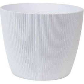 Pot Magnolia Jumper 12" White