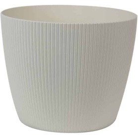 Pot Magnolia Jumper 12" Creme