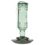 Green Bootle Hummingbird Feede - Image 1