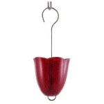 Ruby Ant Moat - Image 1