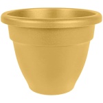 Caribbean Pot 6" - Honey - Image 1