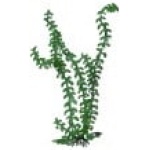 Elodea Oxy - Image 1