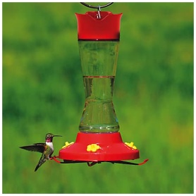 16oz Glass Hummingbird Feeder