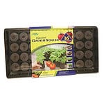 Jiffy Tomato Starter G/H 36 Pe - Image 1