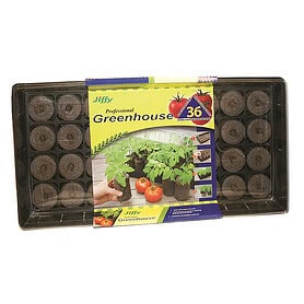 Jiffy Tomato Starter G/H 36 Pe