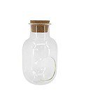 Terrarium bottle shape 4?8? - Image 1