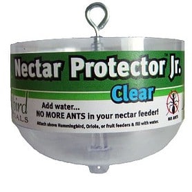 Jr Clear Ant Moat