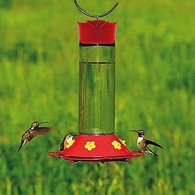 Hummingbird Glass Feeder 30oz