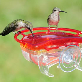 Hummingbird Feeder Window Moun