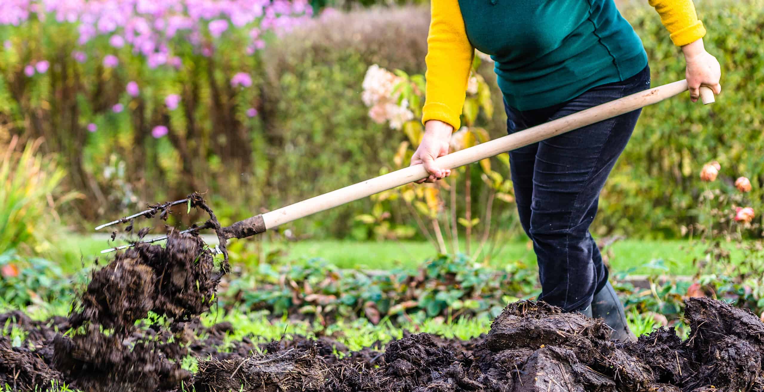 Things To Do In The Garden During October - Blomidon Nurseries
