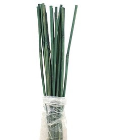 Green Bamboo Stake 3" Pack 20