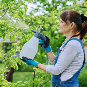 3.Pest Control & Garden Health