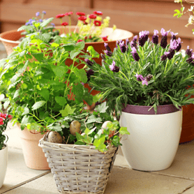 6.Pots and Planters