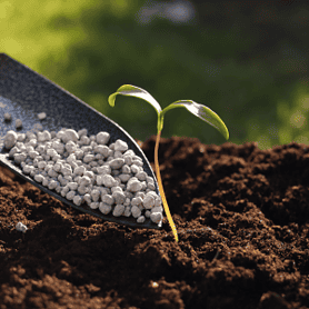 2.Soil & Fertilizers