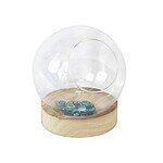 Terrarium round /w wood base 7?8? - Image 1