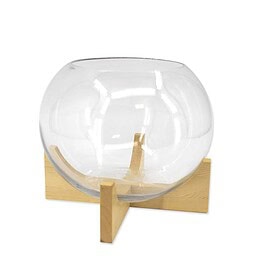 Terrarium round /w wood base 10?