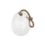 Terrarium hanging egg 5?7? - Image 1