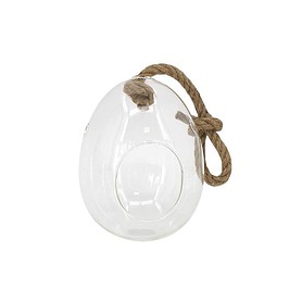 Terrarium hanging egg 5?7?