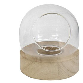 Terrarium round shape natural wood base 7?