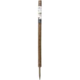 Coir Stakes -Single Stake