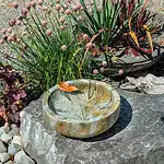 Autumn leaf Bowl- Basalt Grey - Image 1