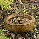 Frog Bowl- Western Slate - Image 1