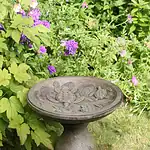 Turtle Birdbath Small -YS - Image 1