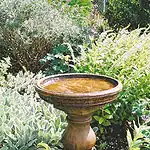 Turned Pedestal Birdbath- BG - Image 1